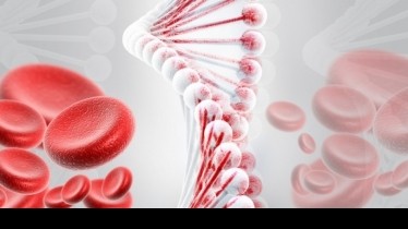 العامل الوراثي في نقل المرض
